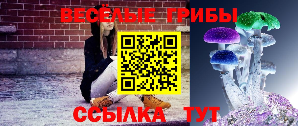 Псилоцибиновые грибы мухоморы Борисоглебск