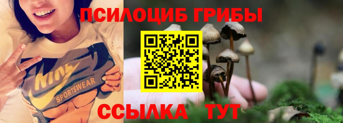 Борисоглебск  цена наркотик  Вход с VPN  Псилоцибиновые грибы мицелий 